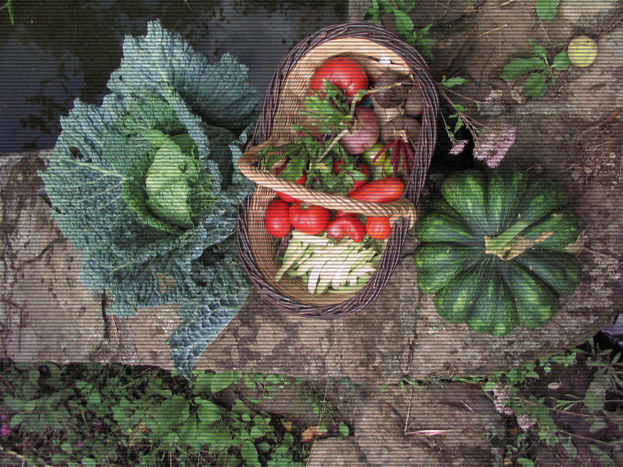 Photo de jardin 1