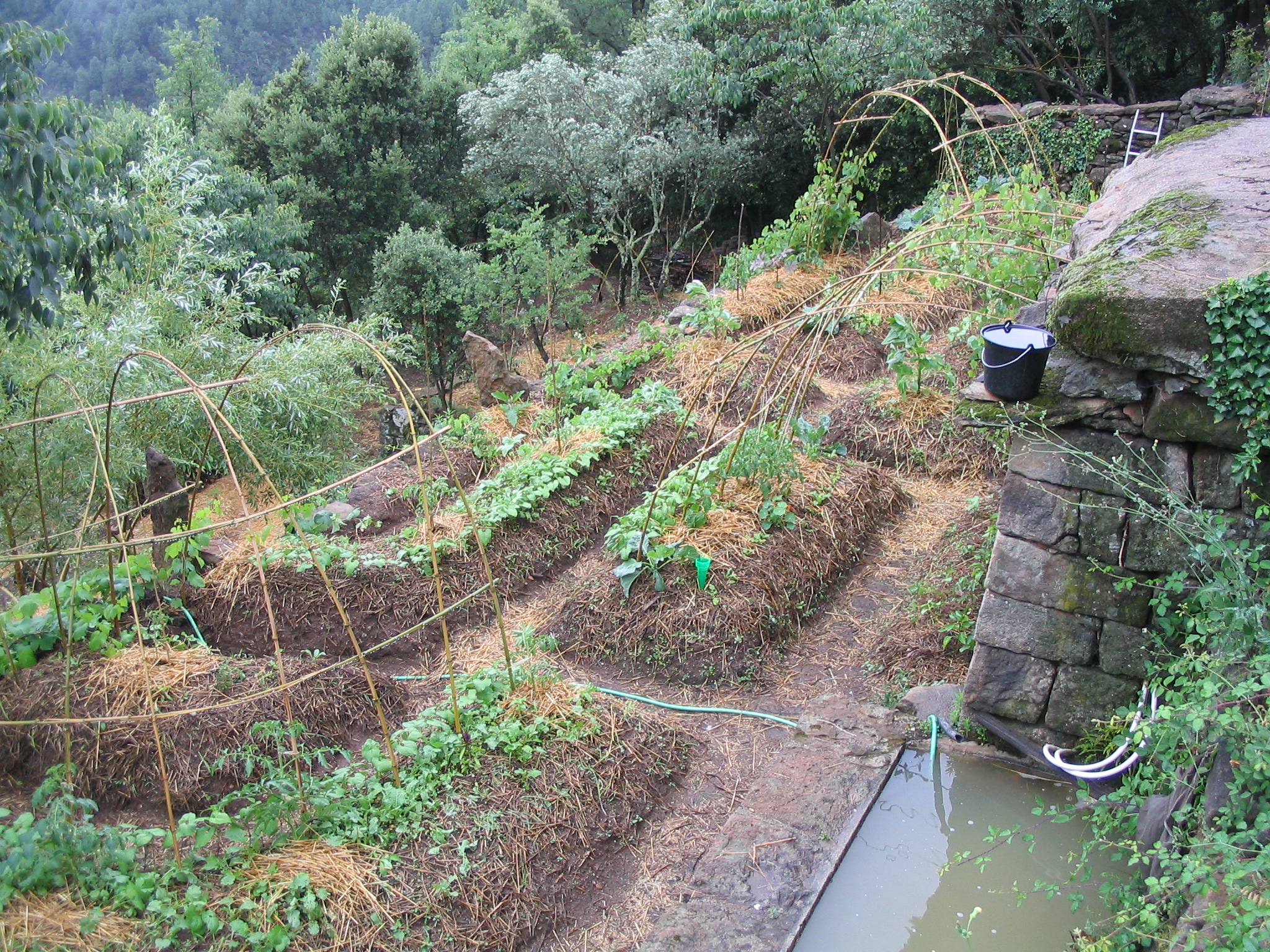 Photo de jardin 10