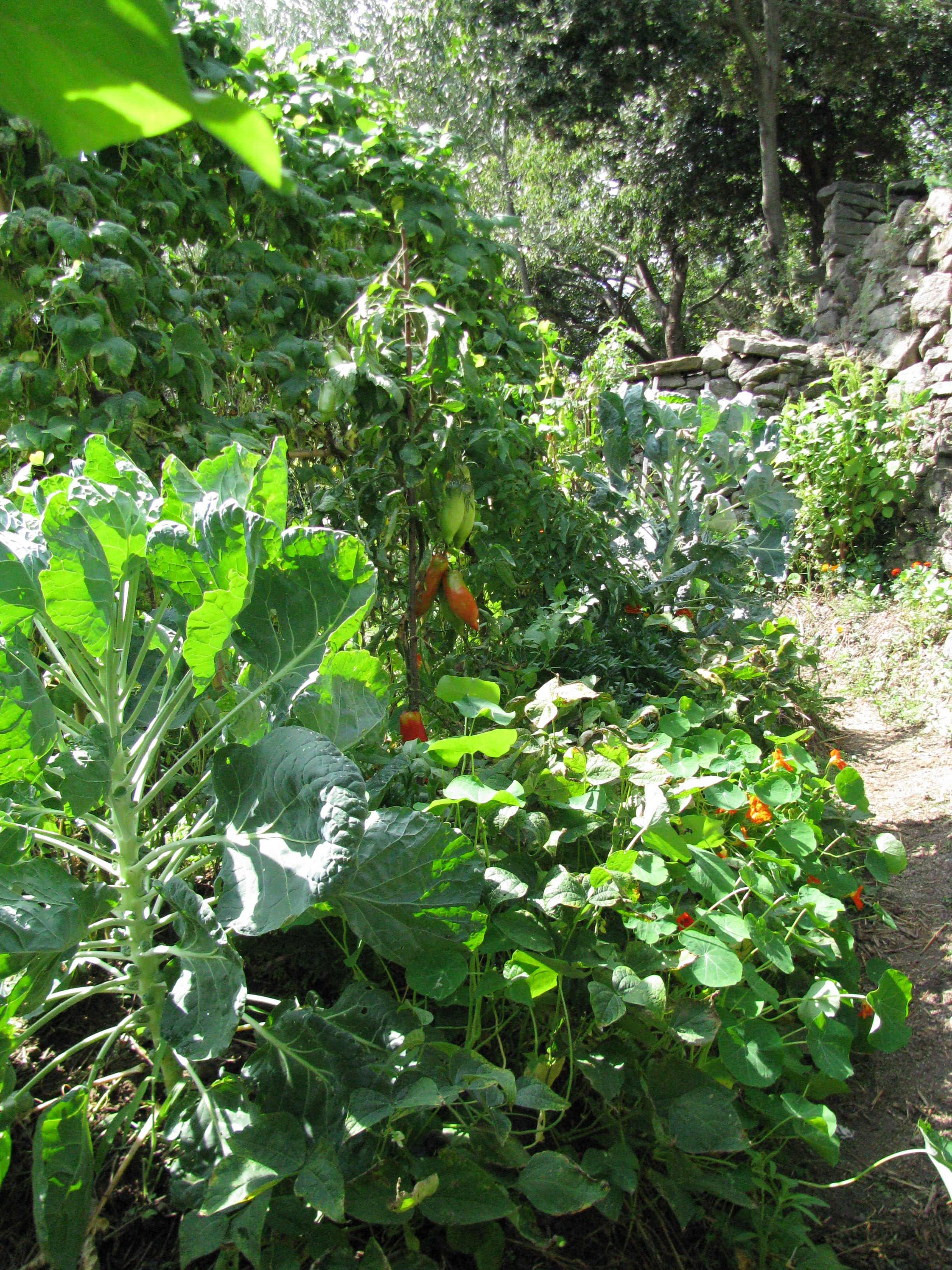 Photo de jardin 12