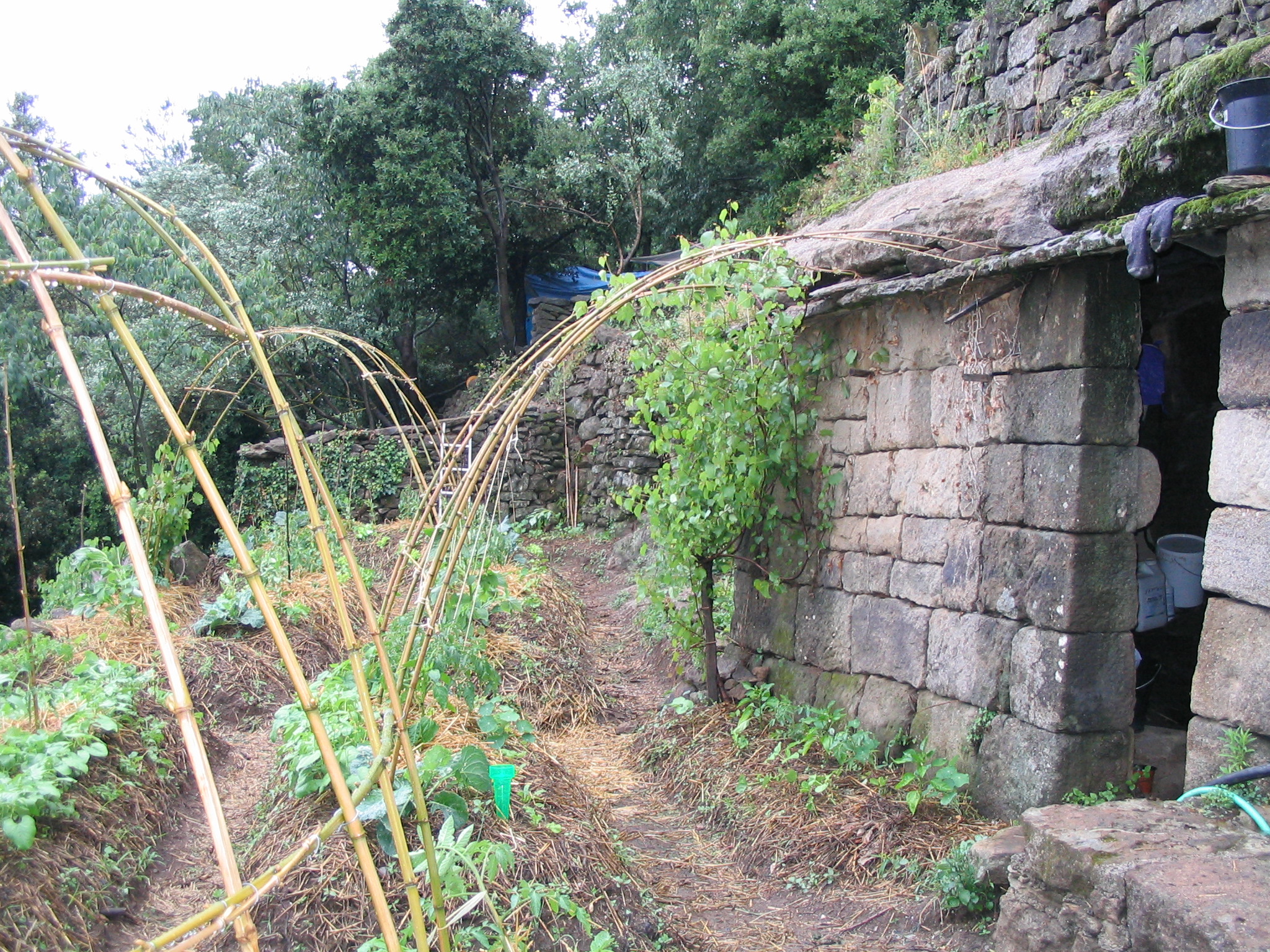 Photo de jardin 17