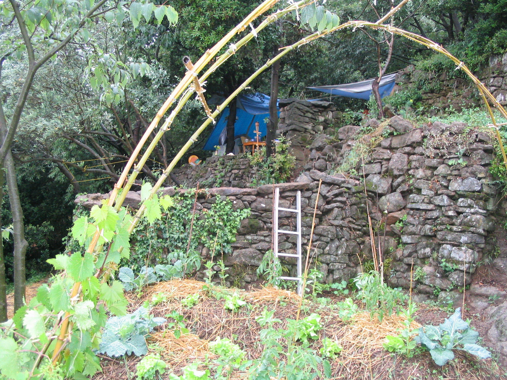 Photo de jardin 18