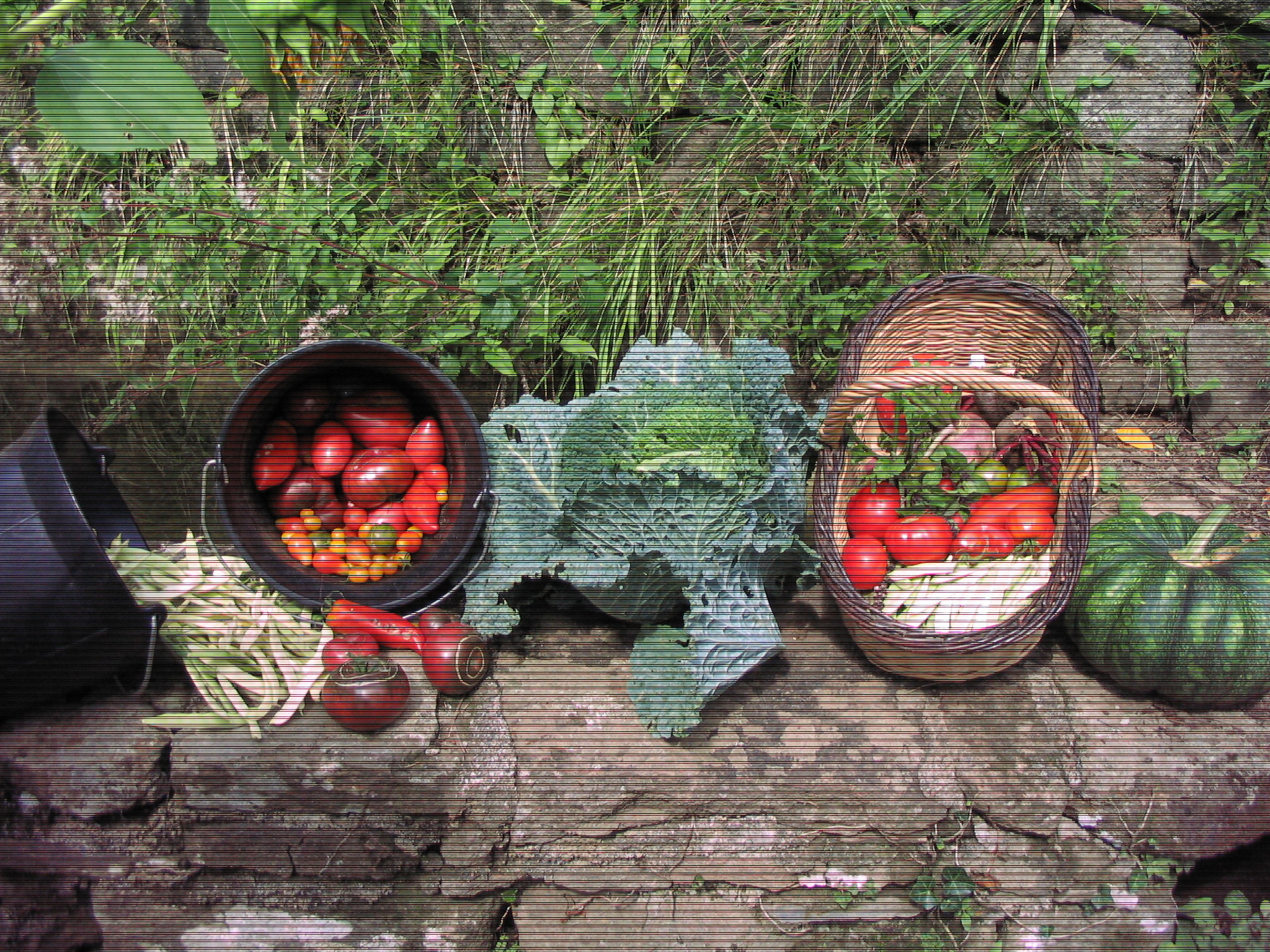 Photo de jardin 2