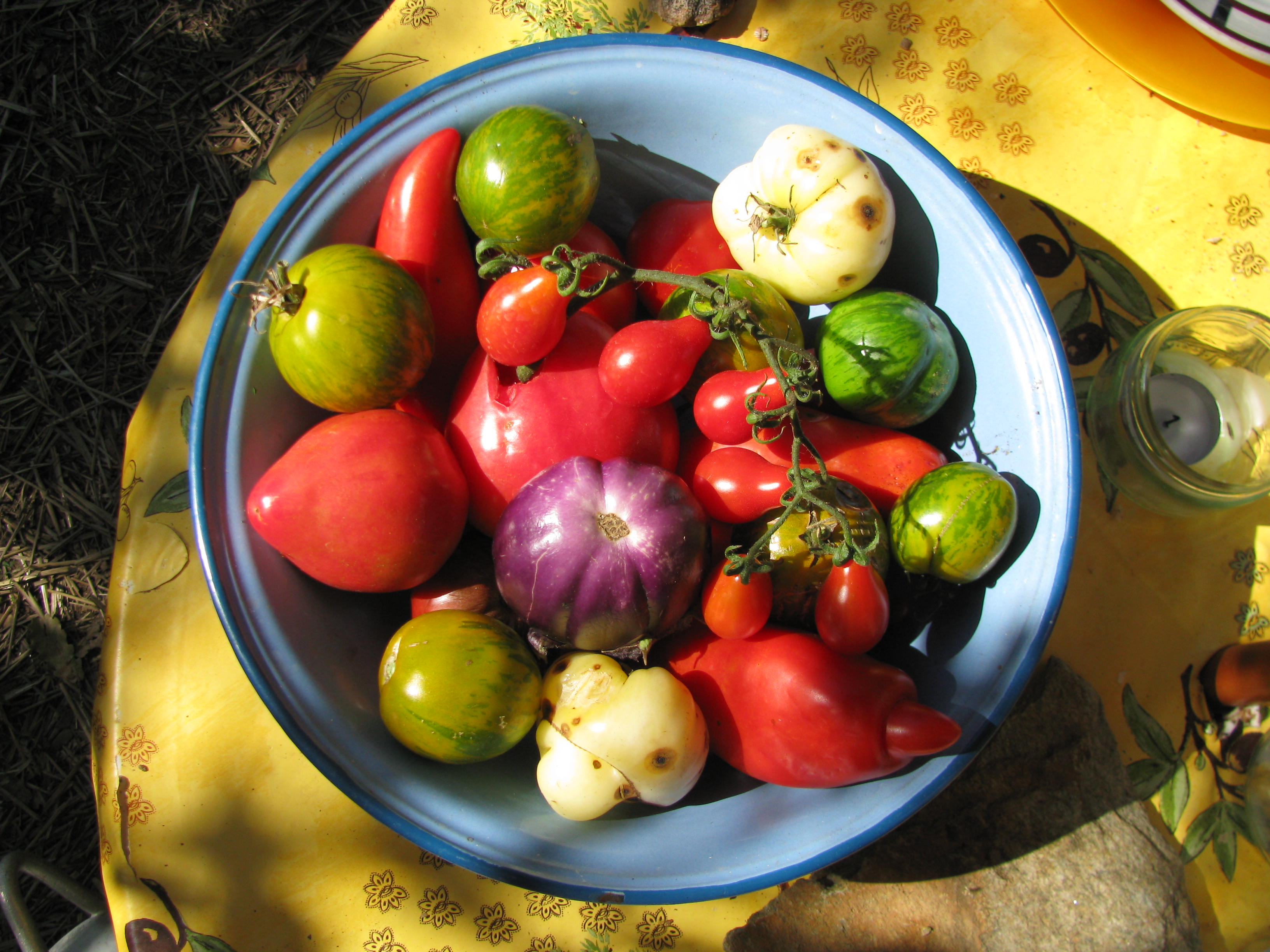 Photo de jardin 20