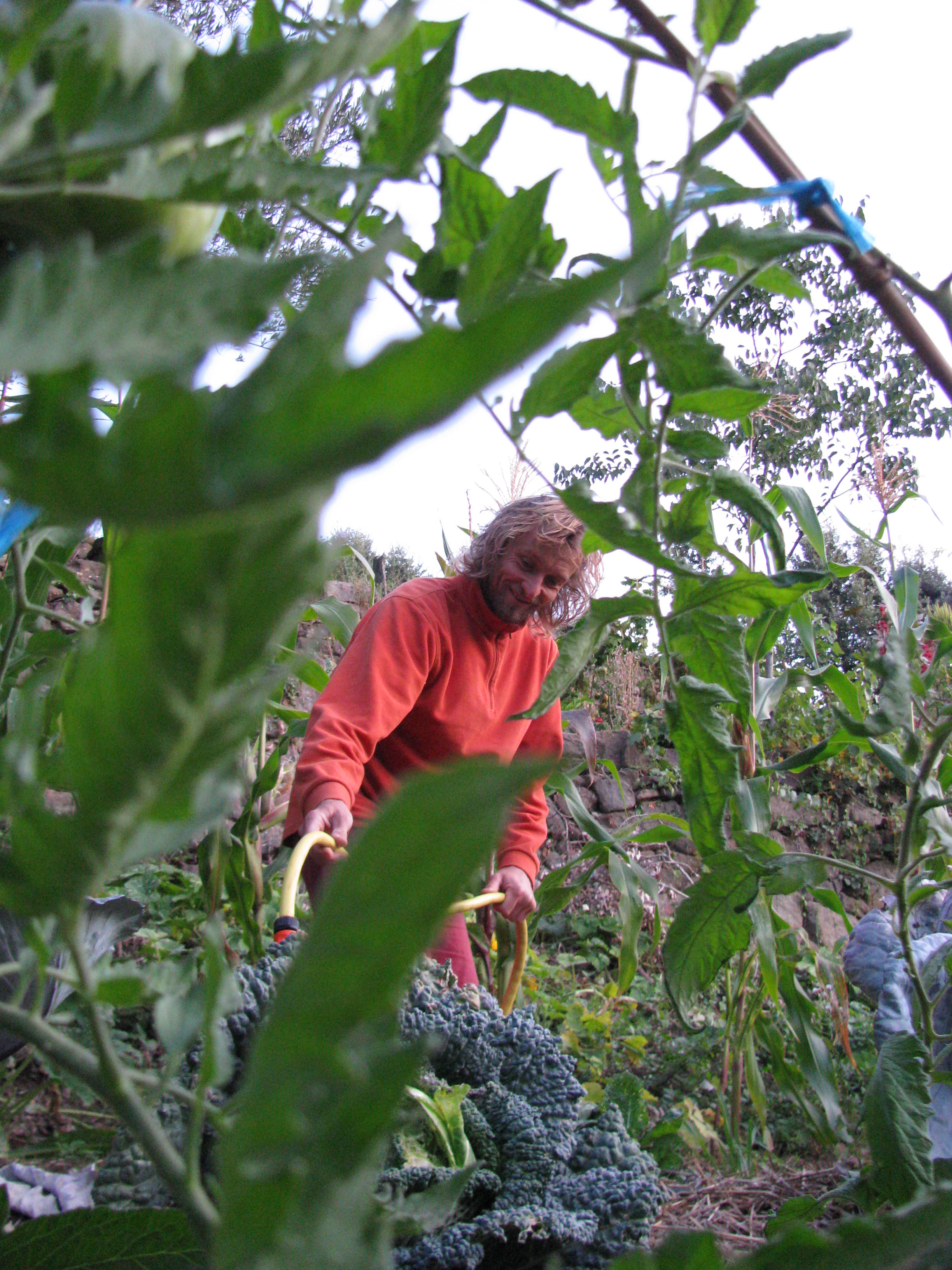 Photo de jardin 21