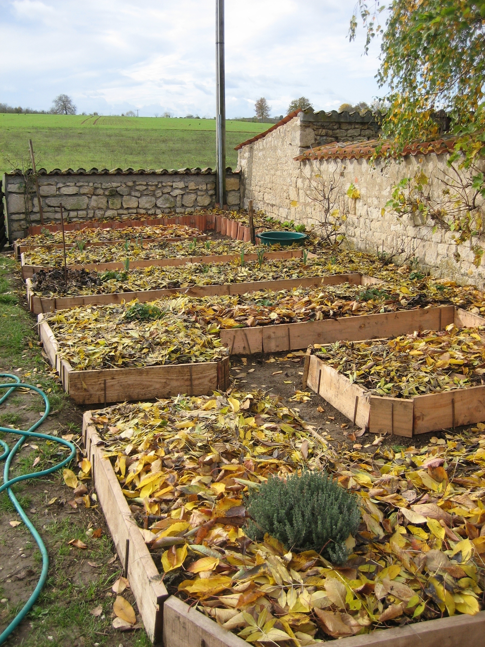 Photo de jardin 23