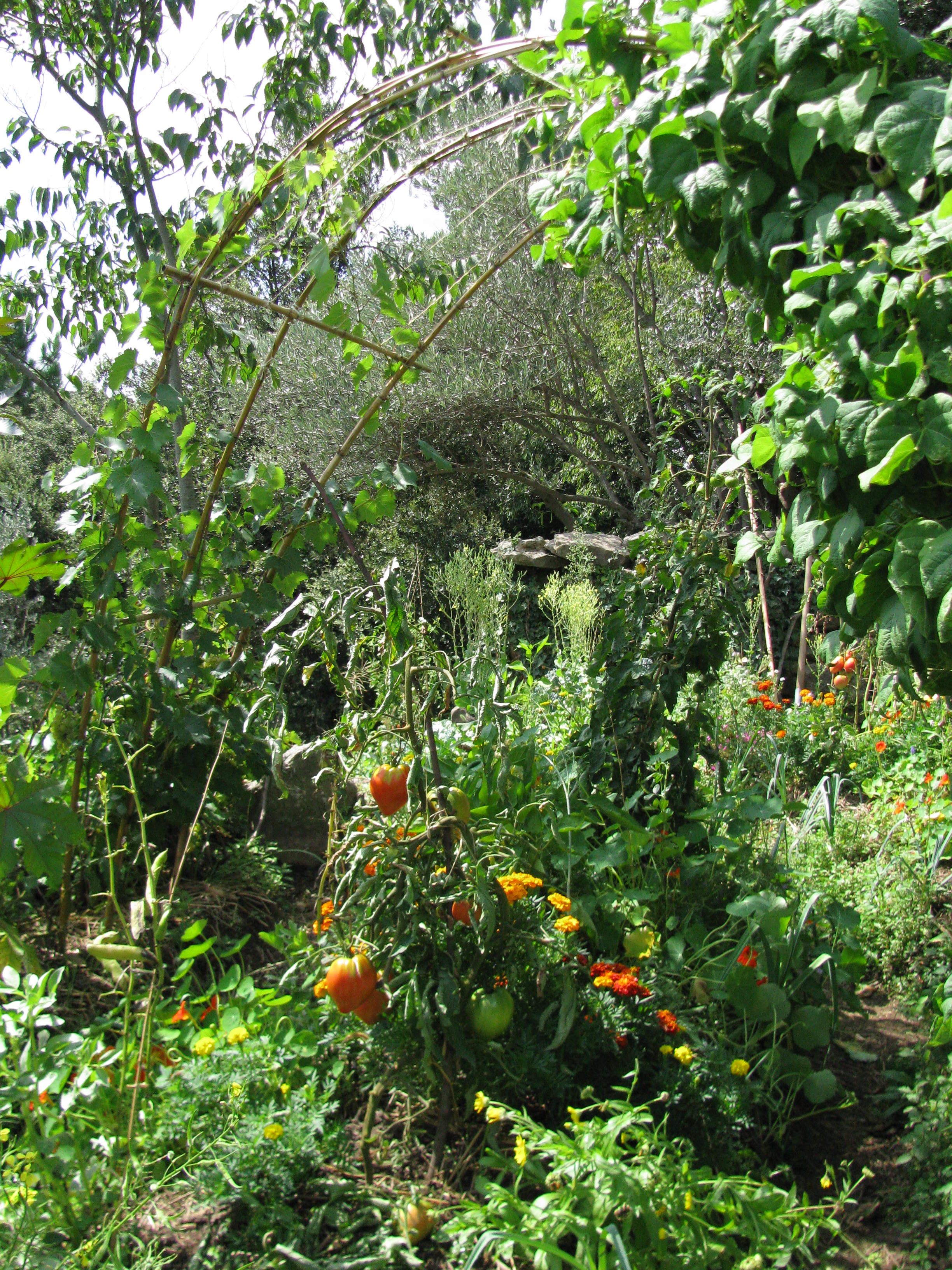 Photo de jardin 30