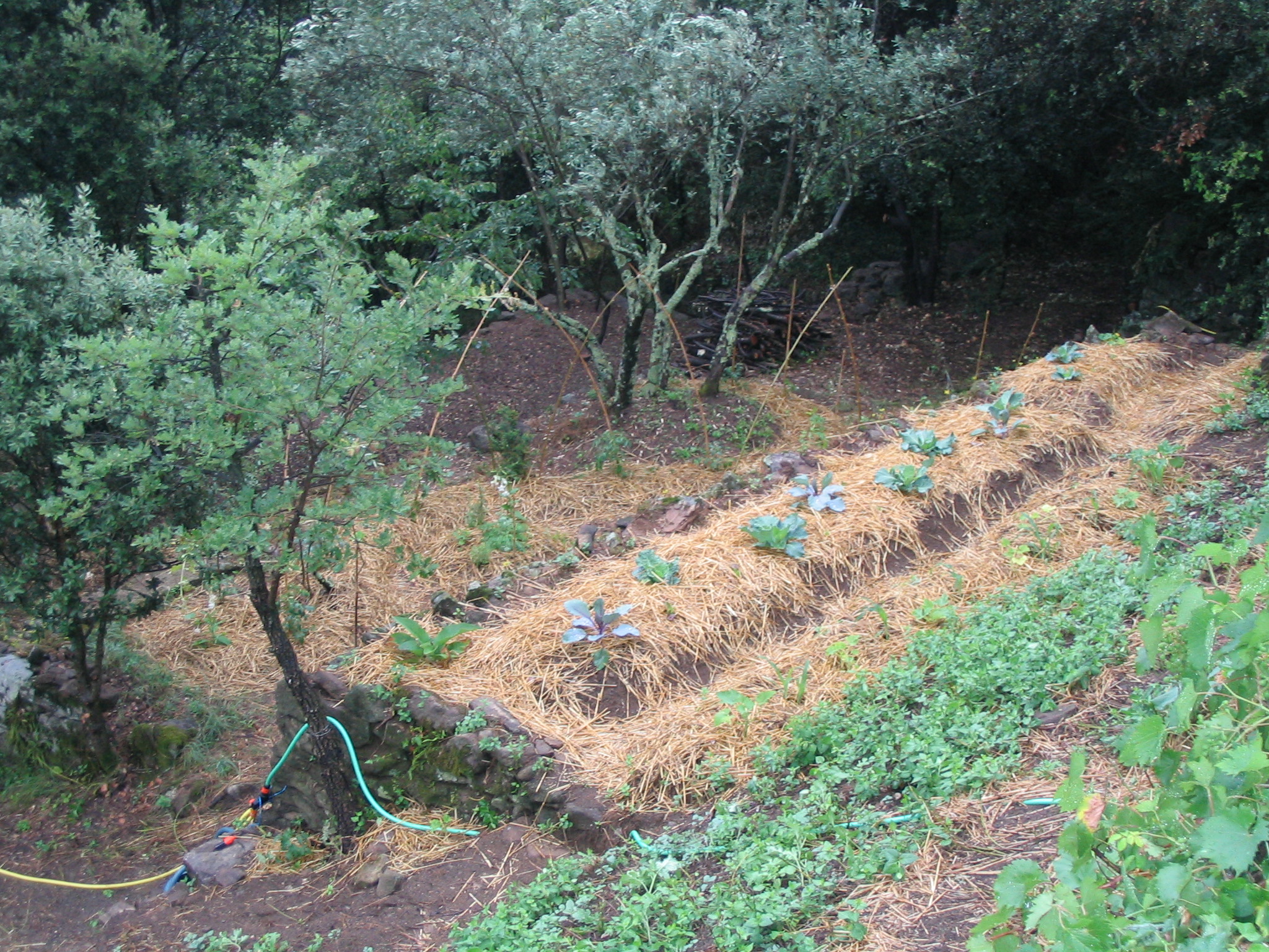 Photo de jardin 31