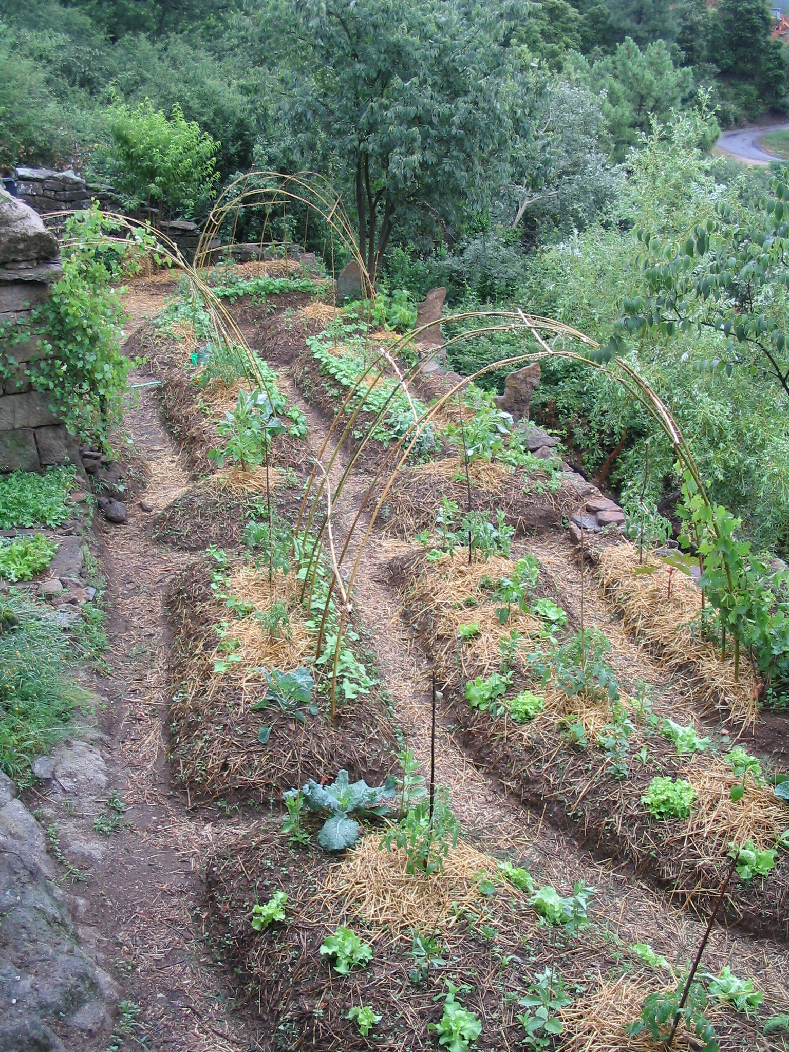 Photo de jardin 8