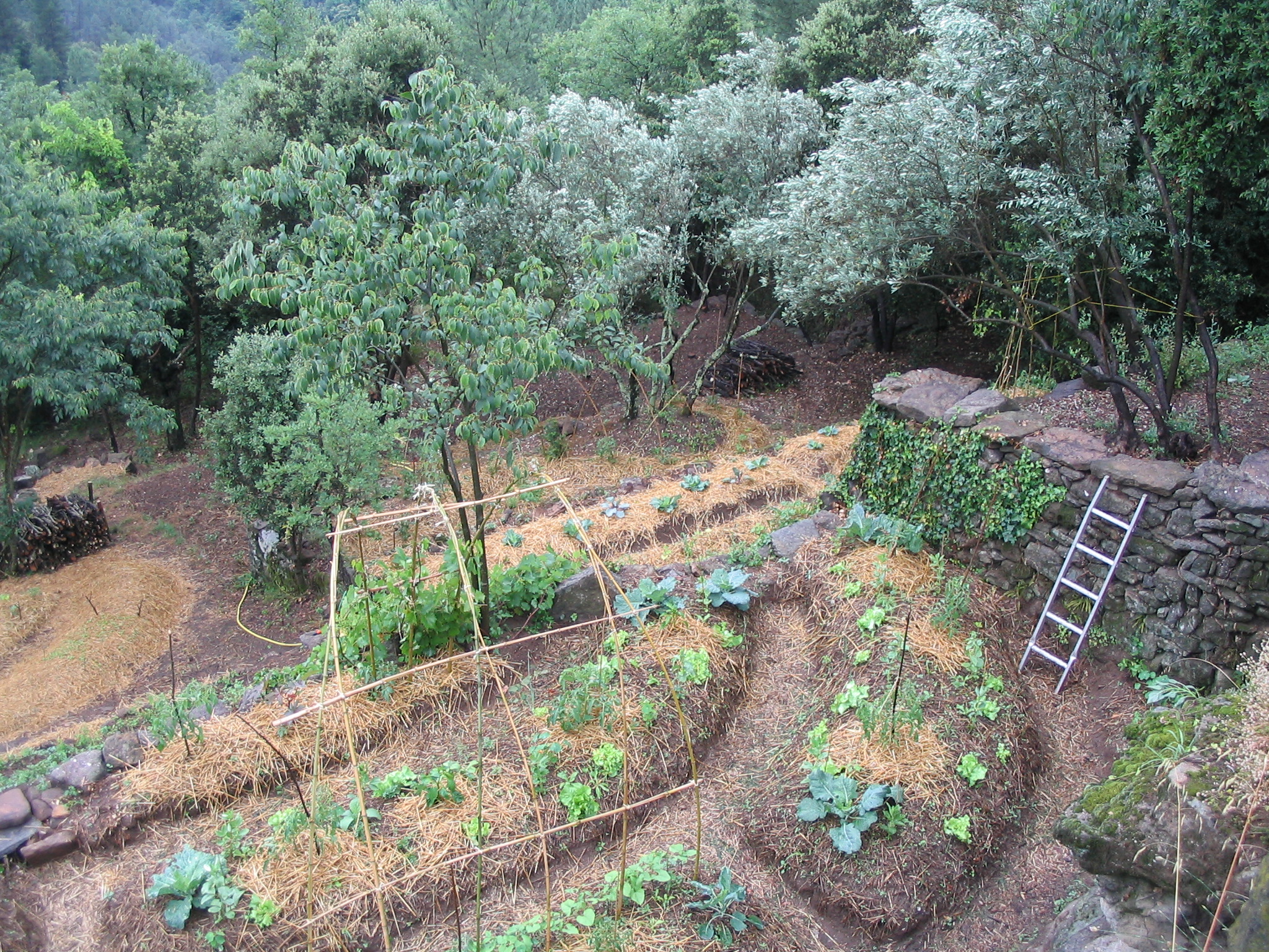 Photo de jardin 9